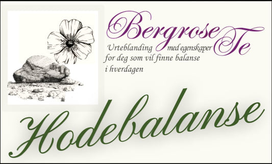 Hodebalanse Te